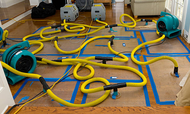 Professional Water Damage Repair technician working in Easton, CT